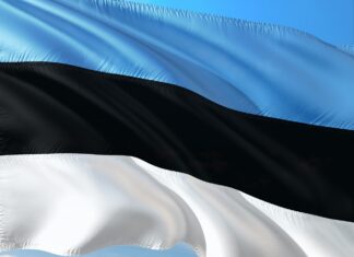 Estland Flagge