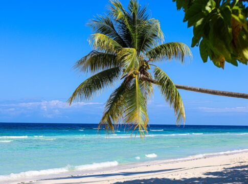Strand mit Palme