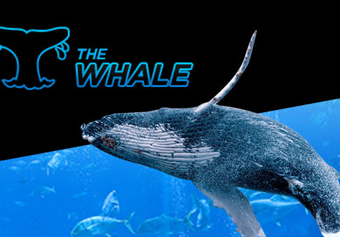 Slaaasch aus Deutschland gewinnt das Super Whale auf 888poker