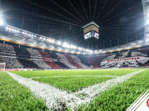 Gorans Sportwetten – DIESE Außenseiter-Quote muss man probieren!