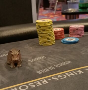 WSOPE Main Day 2 Card Protector