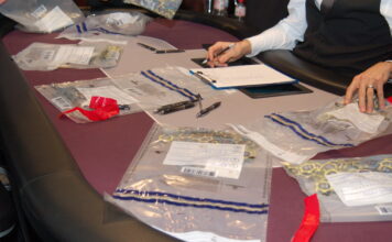 Chip-Tüten werden gepackt - Foto: Schwarz