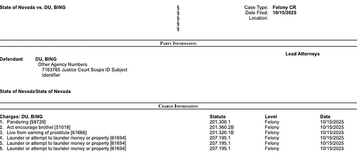 Las Vegas vs Bing Du - Felony Charges .- Anklagepunkte