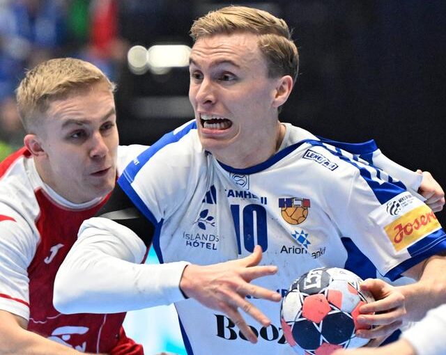 handball-em-148~640x720