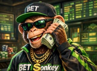 BETMonkey – Kombiwette für die anstehenden Länderspiele!