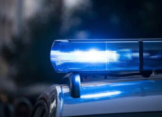Glücksspielbehörde konfisziert Milliarden aus illegalen Online-Casinos!